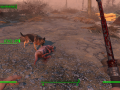 Fallout4 2015-11-10 22-53-34-79.png